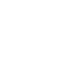 Seismitoad