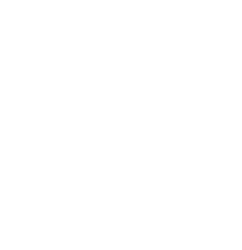 Shieldon