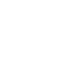 Shinx