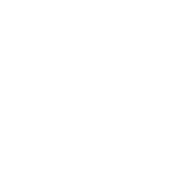 Skiddo