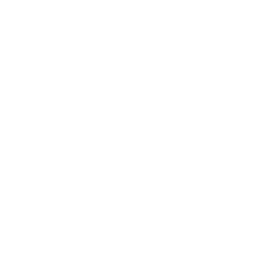 Sneasel