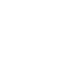 Alolan Persian