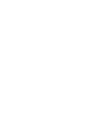 Tepig