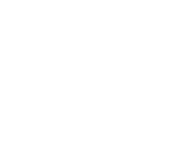 Terrakion