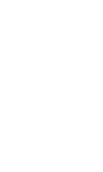 Torchic