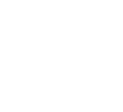 Torterra