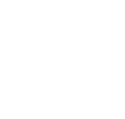 Turtonator