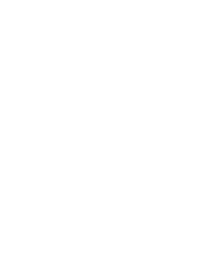Victini