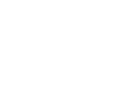 Vivillon (Garden Pattern)