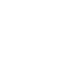 Weißes Kyurem