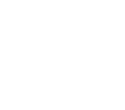 Wooper