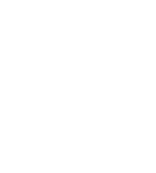 Wrestler-Pikachu