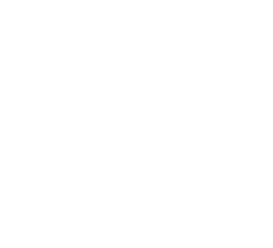 Yveltal