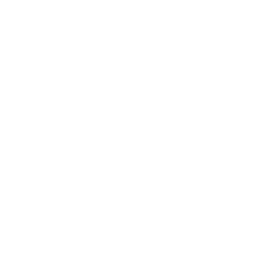 Zacian (König des Schwertes)