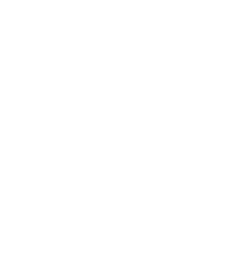 Zamazenta (König des Schildes)