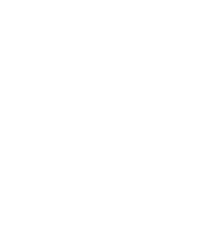 Zangoose