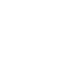 Zoroark